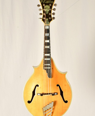 Gruhn guitars used sales