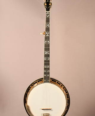 Baldwin ode deals banjo for sale