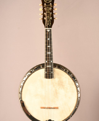 Banjo 2024 and mandolin