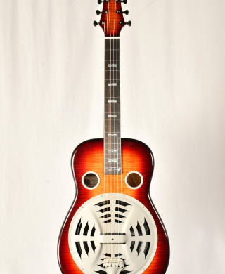 Phoenix acoustic guitar sales