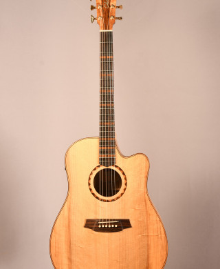 ギター Cole Clark FL2AC Paramount Guitars: Instrument detail - Cole Clark FL2AC