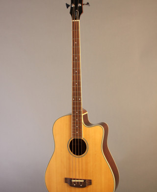Epiphone El Segundo 2006