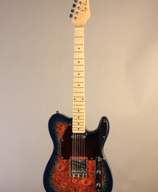 Jay turser deals telecaster price