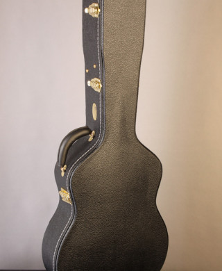 Geib shop guitar case