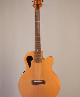 Tacoma Chief 1999