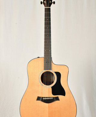 Taylor 210ce Plus New | Gruhn Guitars