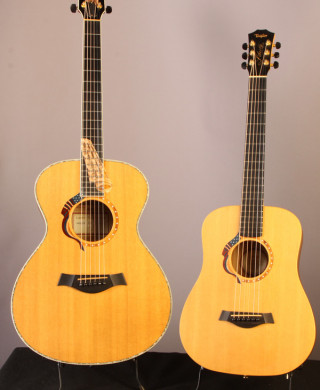 Taylor Liberty Tree Guitar and Baby 305-LT 2002 | Gruhn Guitars