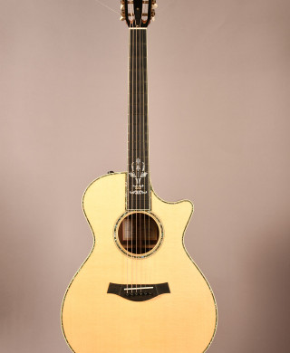 Taylor XXX-BE 30th Anniversary model 2004 | Gruhn Guitars