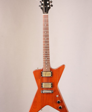 Tortoise — Sankey Guitars